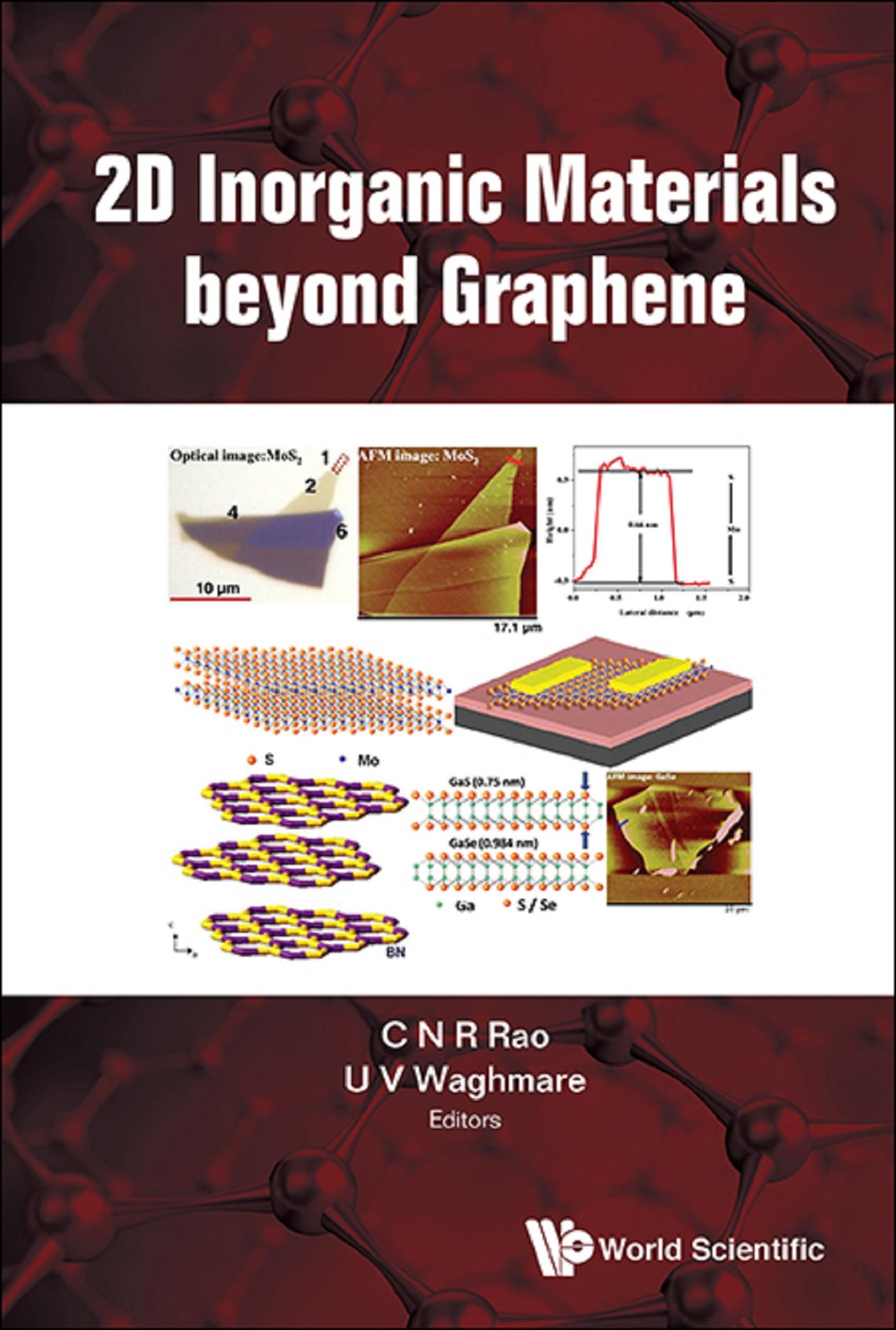 2D INORGANIC MATERIALS BEYOND GRAPHENE