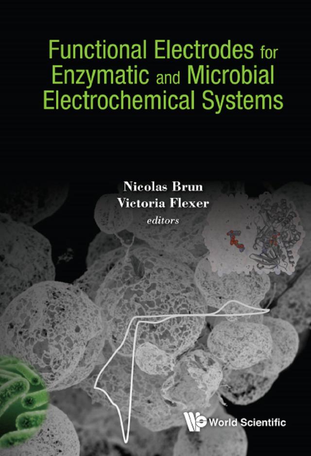 FUNCTIONAL ELECTRODES ENZYMATIC & MICROBIAL ELECTROCHEM SYS by Nicolas Brun, Victoria Flexer