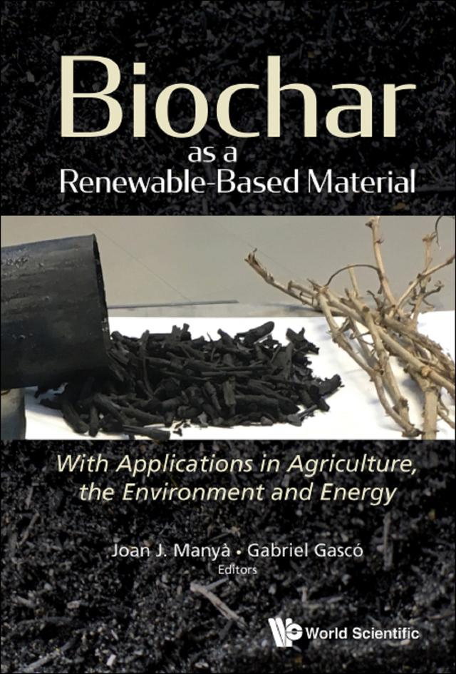 BIOCHAR AS A RENEWABLE-BASED MATERIAL by Gabriel Gasco, Joan J Manya