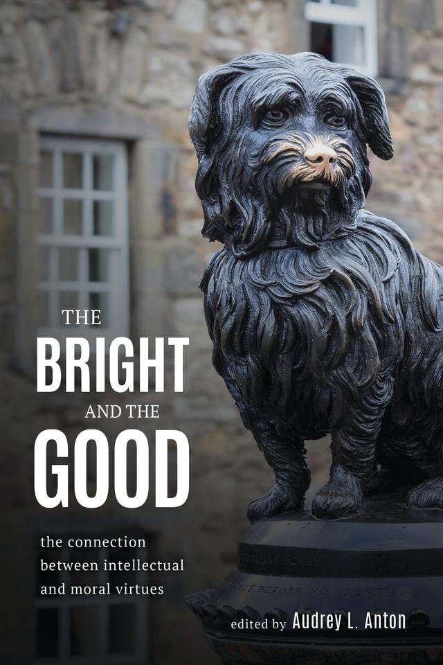 The Bright and the Good by 