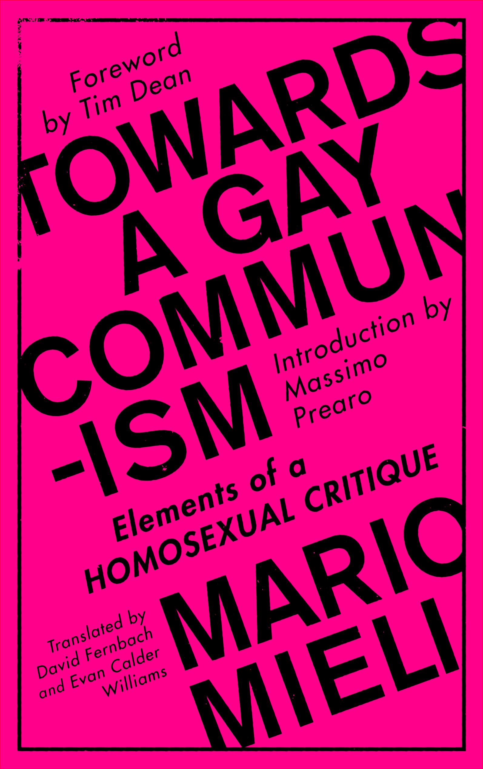 Towards a Gay Communism
