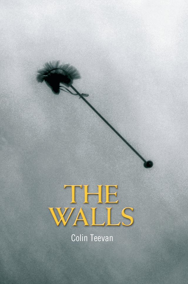 The Walls by Colin Teevan