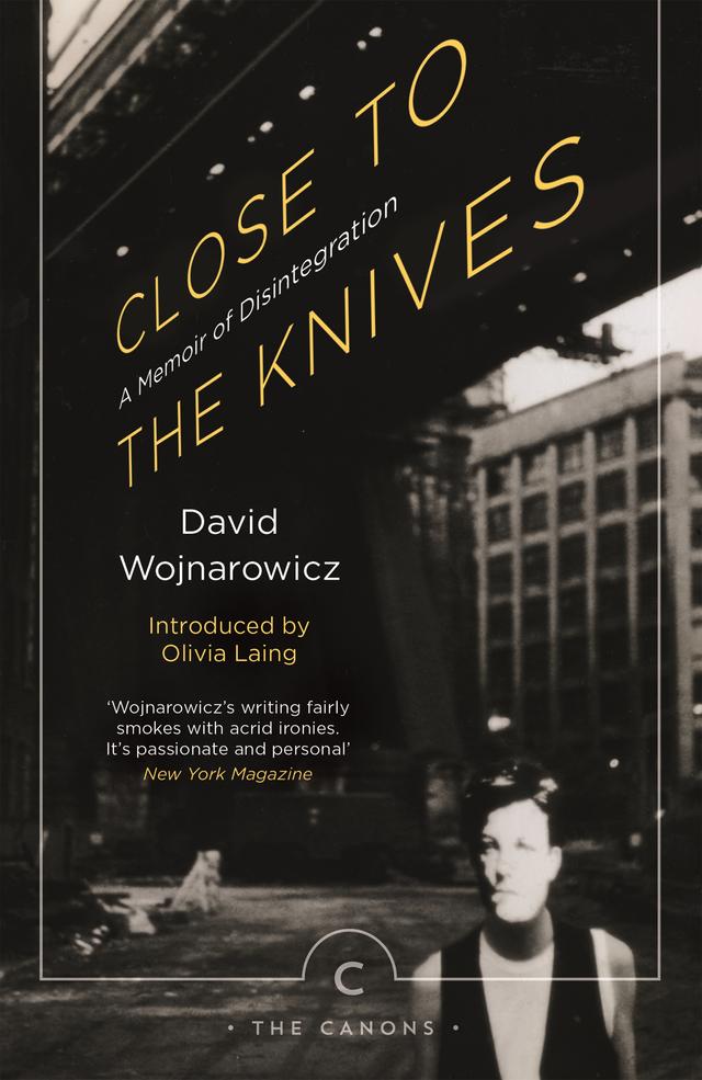 Close to the Knives by David Wojnarowicz, Olivia Laing