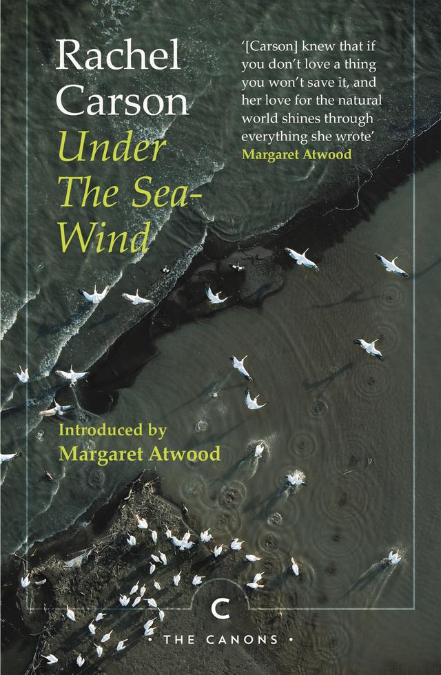 Under the Sea-Wind by Margaret Atwood, Rachel Carson