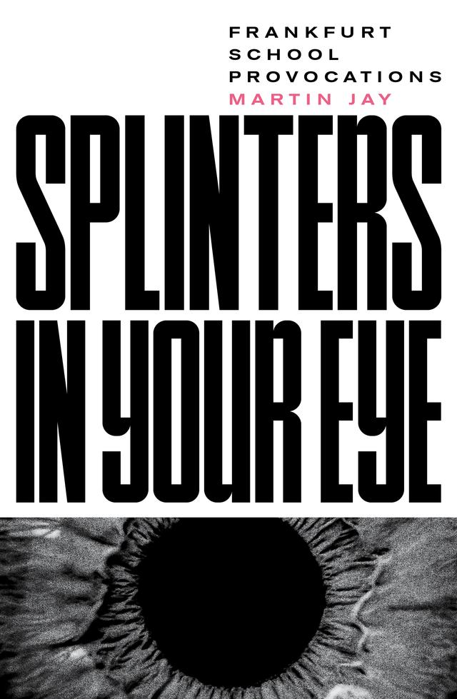 Splinters in Your Eye by Martin Jay