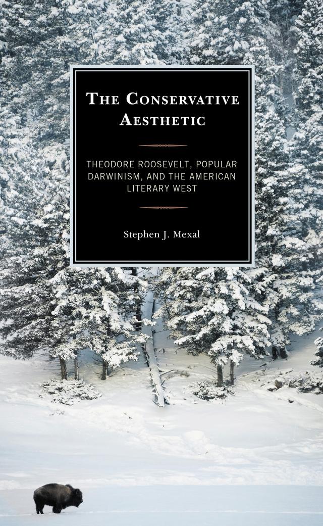 The Conservative Aesthetic by Stephen J. Mexal