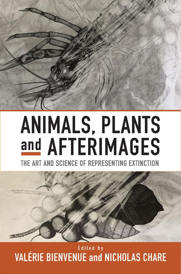 Animals, Plants and Afterimages by Nicholas Chare, Valérie Bienvenue
