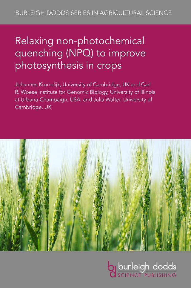 Relaxing non-photochemical quenching (NPQ) to improve photosynthesis in crops by Dr Johannes Kromdijk, Dr Julia Walter