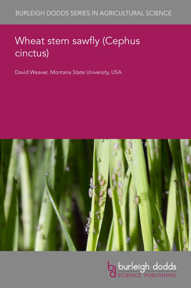 Wheat stem sawfly (Cephus cinctus) by Prof David Weaver