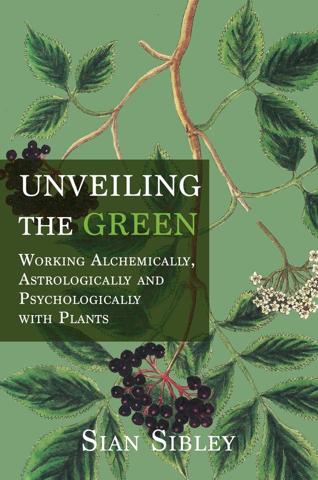 Unveiling the Green by Sian Sibley