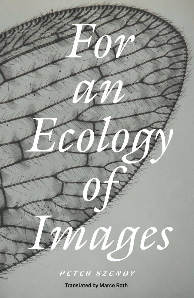 For an Ecology of Images by Marco Roth, Peter Szendy