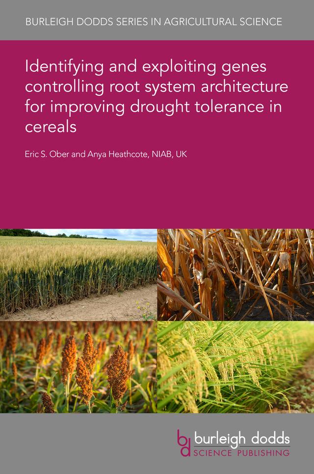 Identifying and exploiting genes controlling root system architecture for improving drought tolerance in cereals by Dr Anya Heathcote, Dr Eric S. Ober