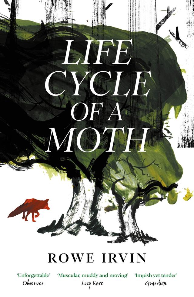 Life Cycle of a Moth by Rowe Irvin