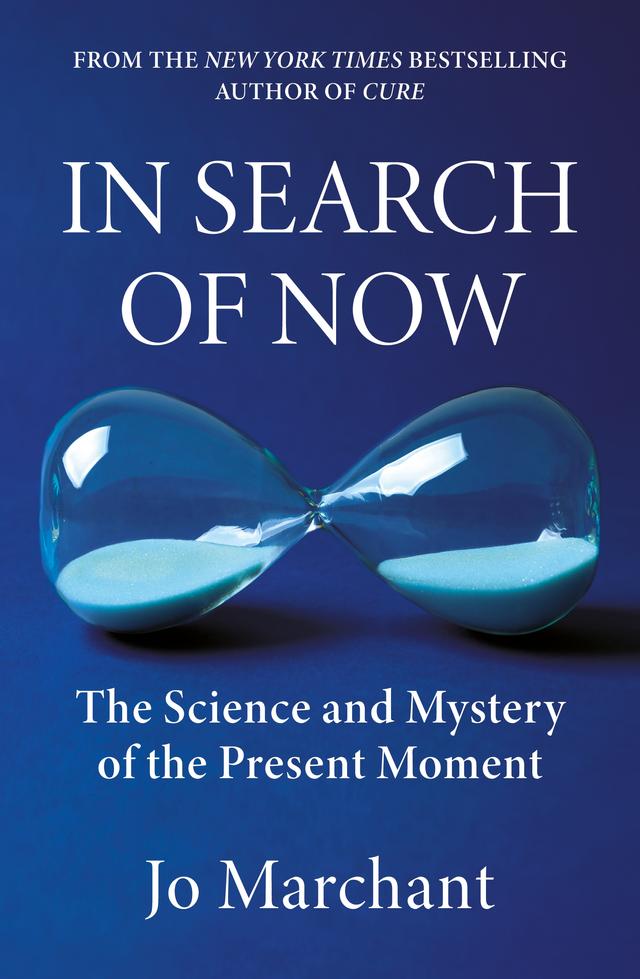 In Search of Now by Jo Marchant