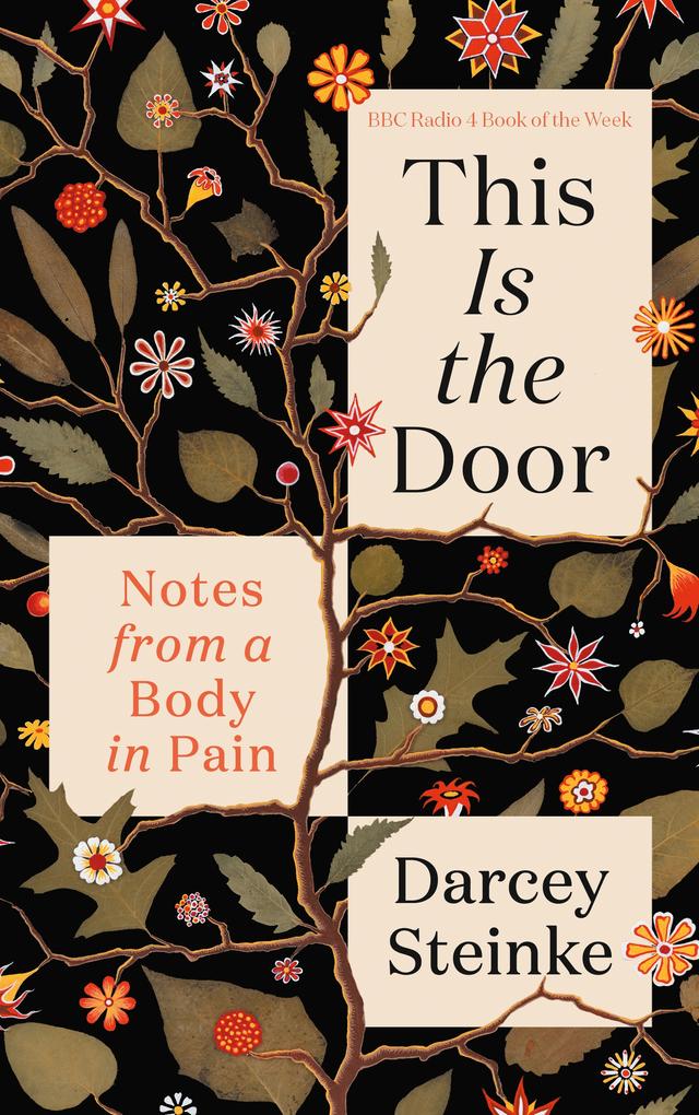 This Is the Door by Darcey Steinke