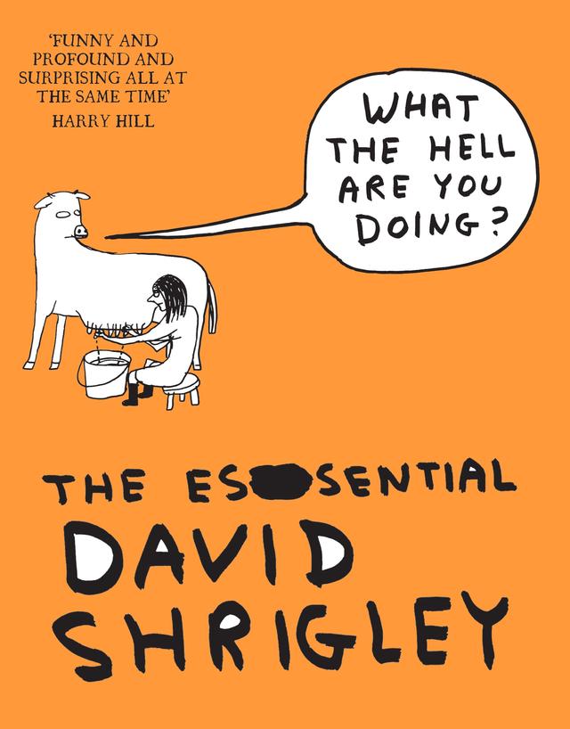 What The Hell Are You Doing?: The Essential David Shrigley by David Shrigley, Will Self