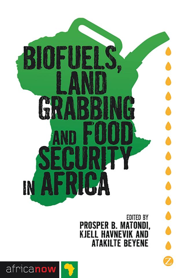 Biofuels, Land Grabbing and Food Security in Africa by Atakilte Beyene, Festus Boamah, Hanne Haaland, Kjell Havnevik, Marie Widengård, Patience Mutopo, Prosper B. Matondi, Rune Skarstein