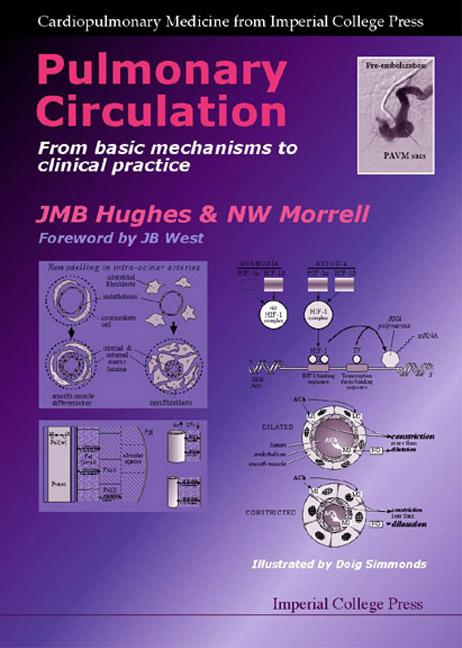 PULMONARY CIRCULATION: FR BASIC MECHANISM CLINIC PRACTICE by Hughes J M B, Morrell Nick W