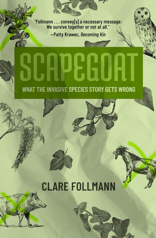 Scapegoat by Clare Follmann