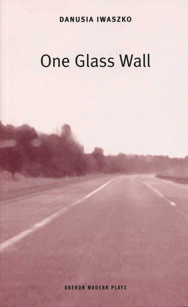 One Glass Wall by Danusia Iwaszko