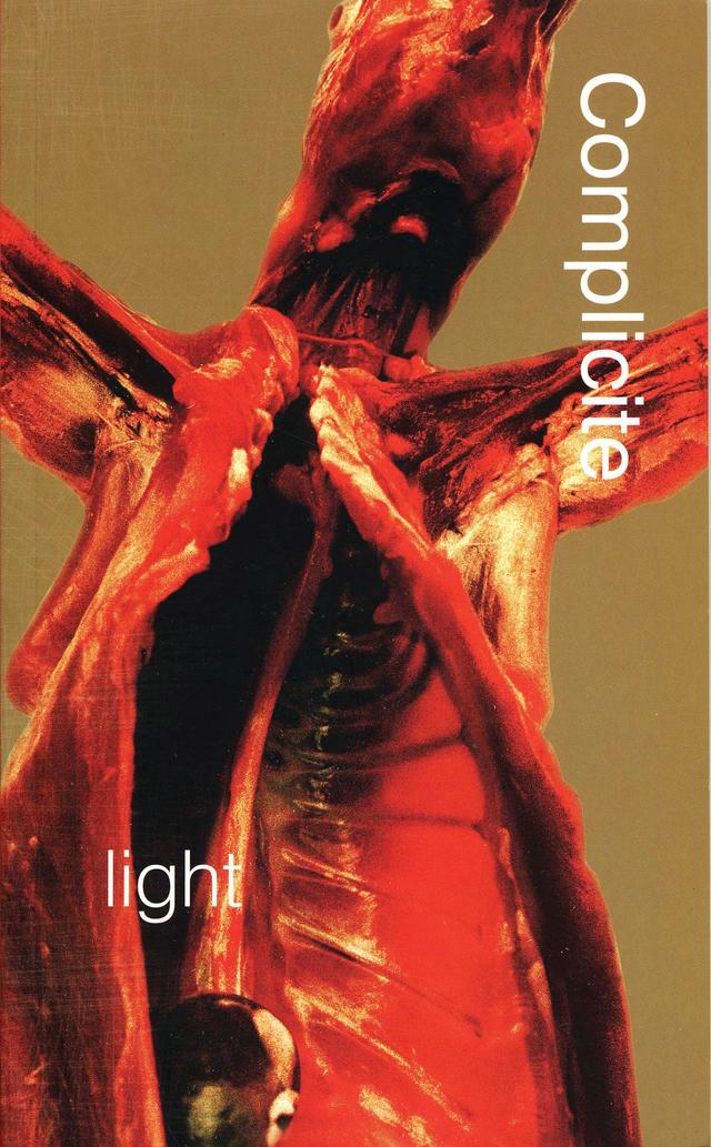 Light by Torgny Lindgren