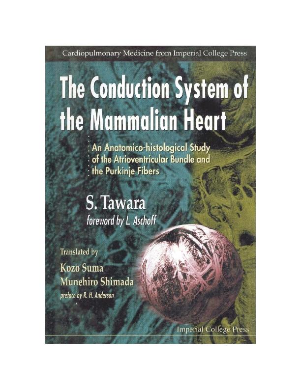CONDUCTION SYSTEM OF THE MAMMALIAN... by Suma Kozo, Tawara Sunao, Urban & Fischer Gmbh & Co Kg