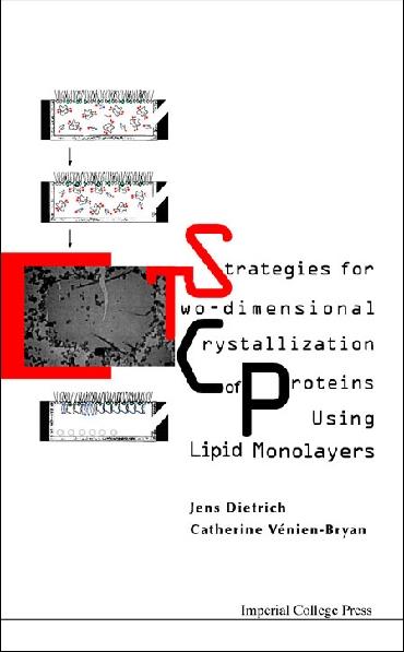 STRATEGIES FOR TWO-DIMENSIONAL CRYSTAL..