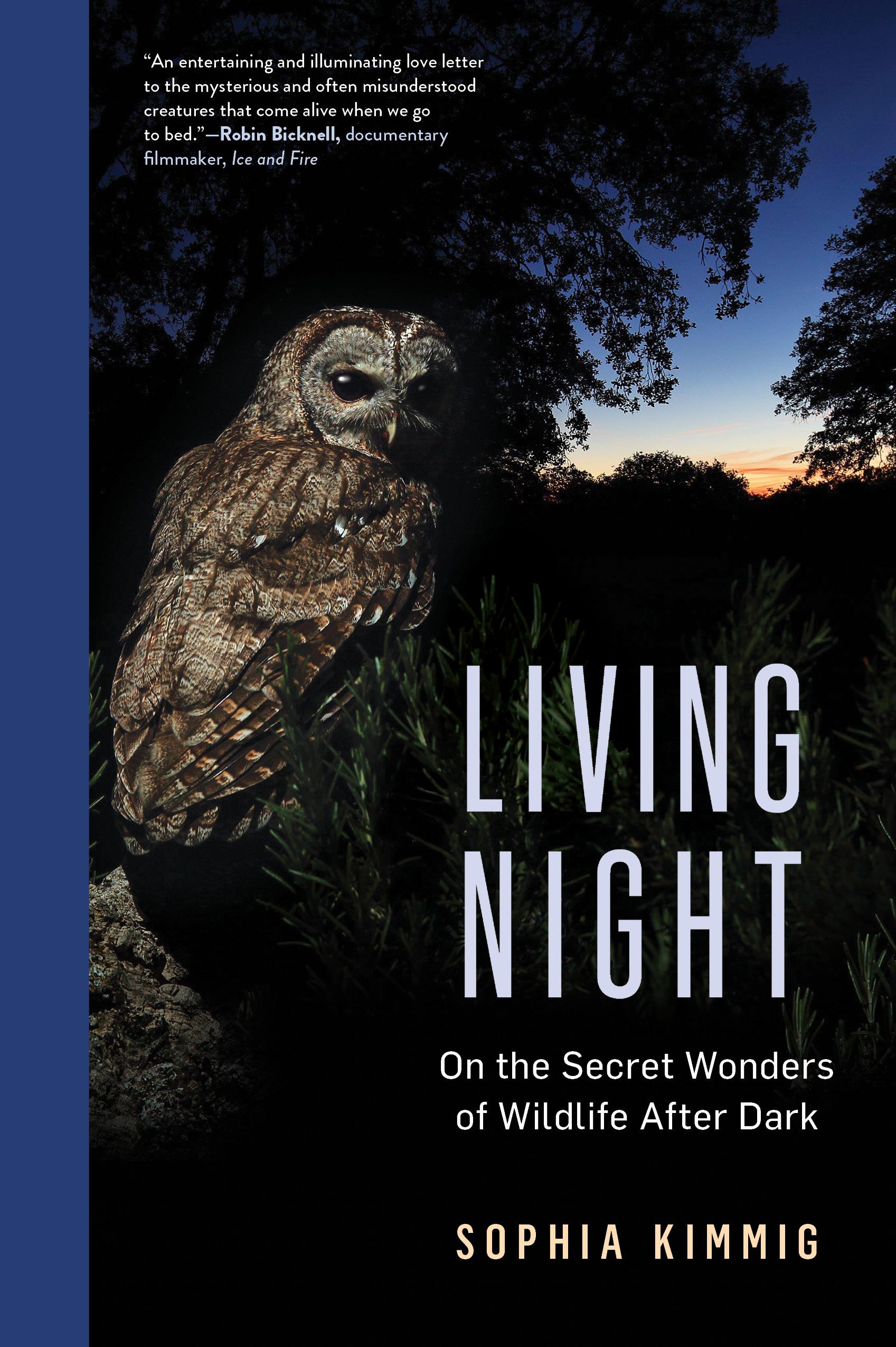Living Night