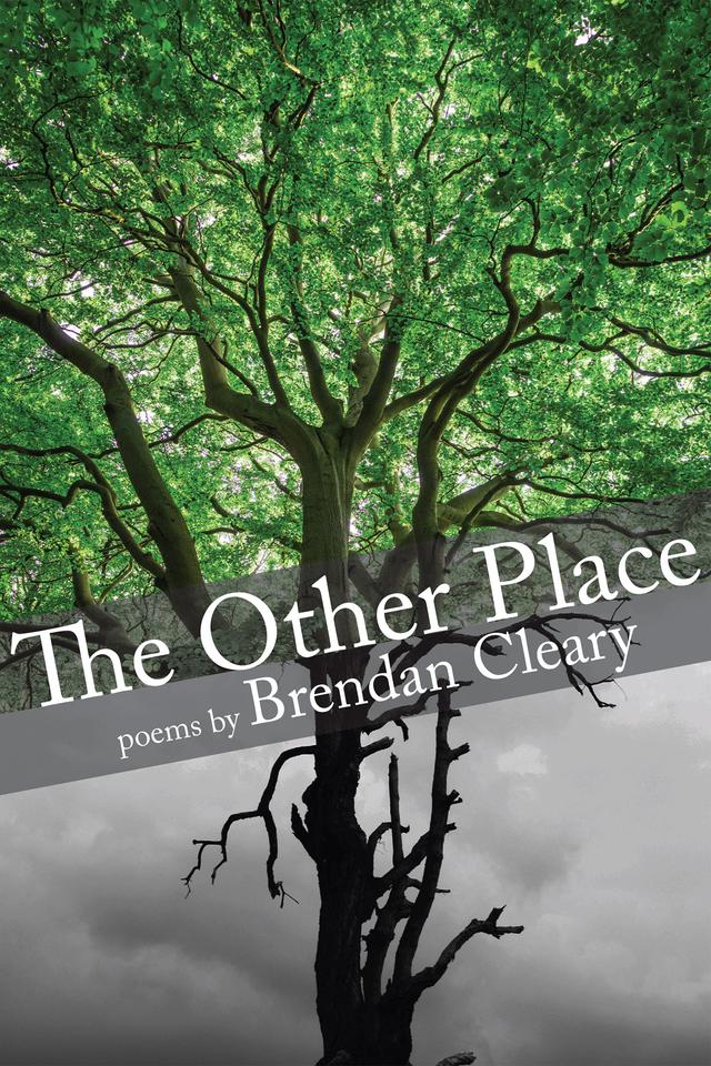 The Other Place by Brendan Cleary