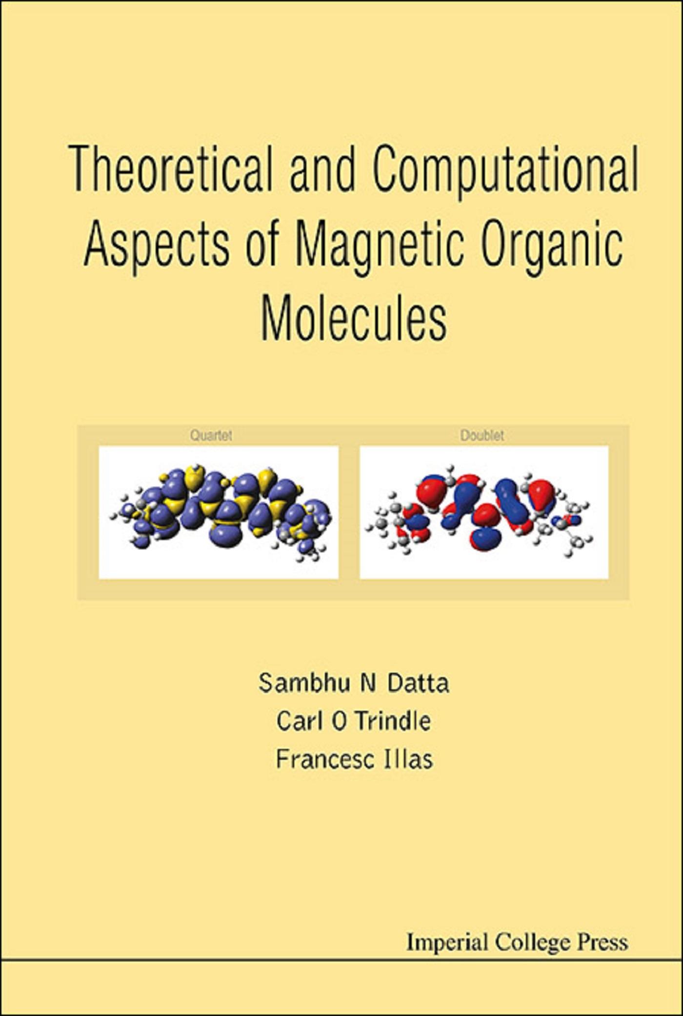 THEREOTICAL AND COMPUTATIONAL ASPECTS OF MAGNETIC ORGANIC ..