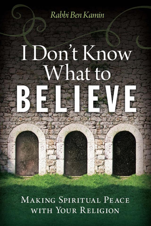 I Don't Know What to Believe by Ben Kamin