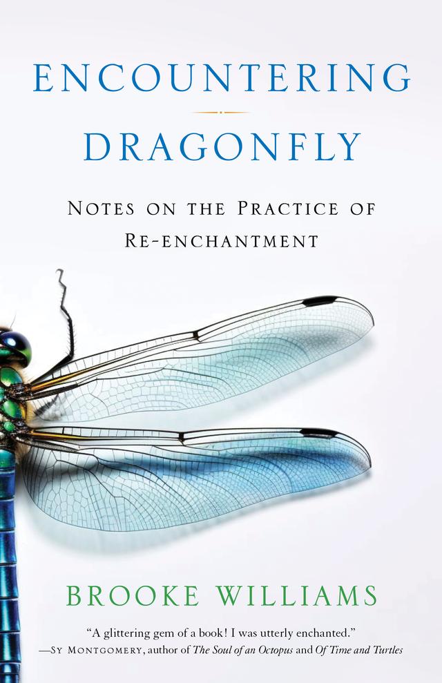 Encountering Dragonfly by Brooke Wiliams