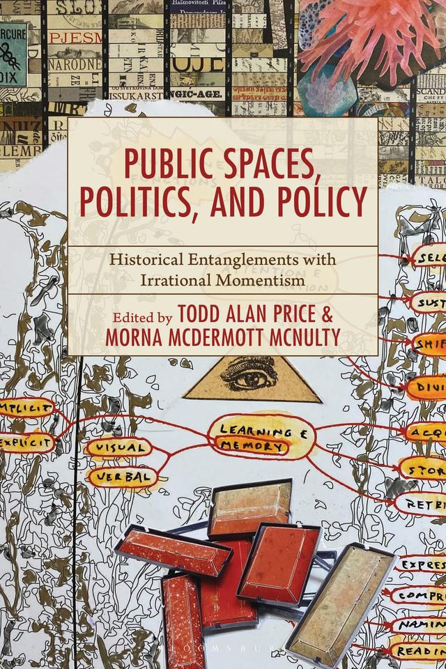 Public Spaces, Politics, and Policy by Morna McDermott McNulty, Todd Alan Price