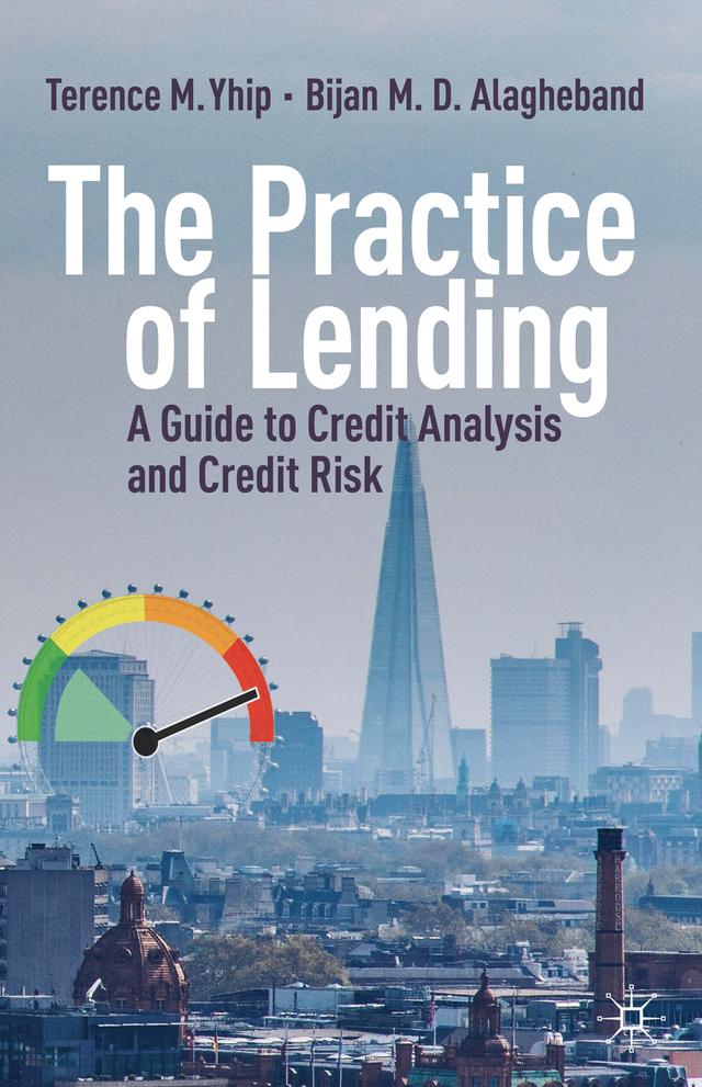 The Practice of Lending by Bijan M. D. Alagheband, Terence M. Yhip