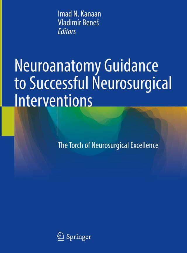 Neuroanatomy Guidance to Successful Neurosurgical Interventions by Imad N. Kanaan, Vladimír  Beneš