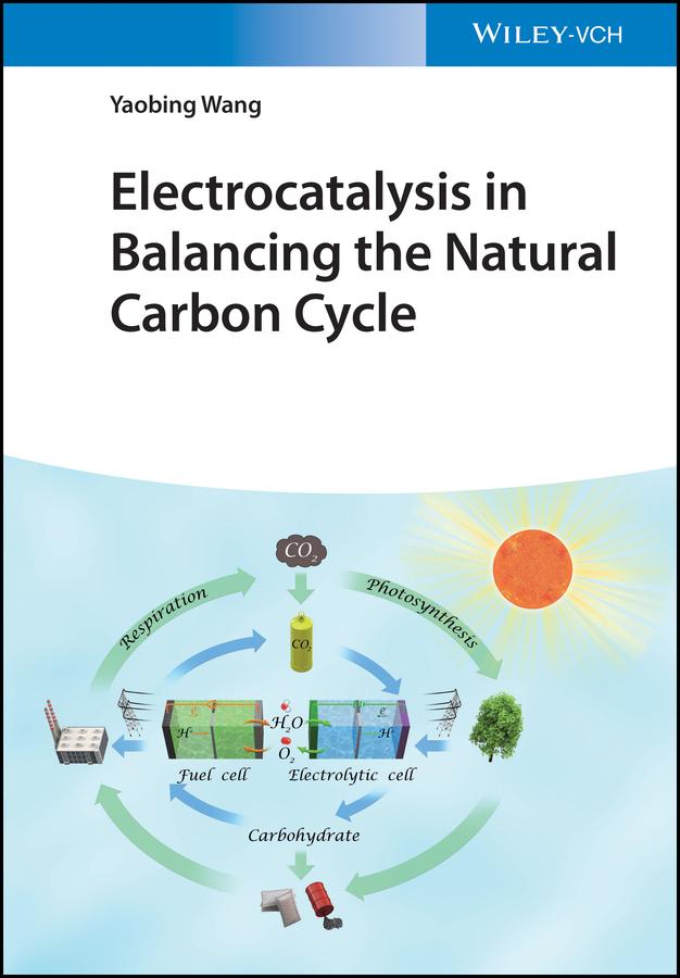 Electrocatalysis in Balancing the Natural Carbon Cycle by Yaobing Wang