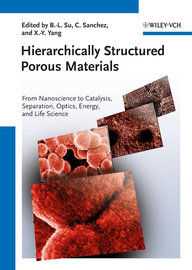 Hierarchically Structured Porous Materials by B.-L. Su, Clement Sanchez, Xiao-Yu Yang