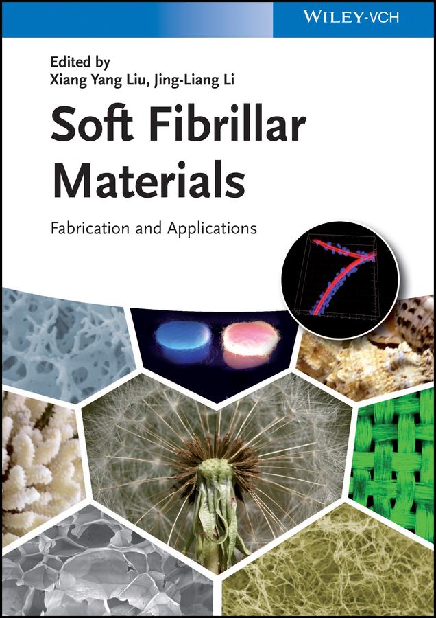 Soft Fibrillar Materials by Jing Liang Li, Xiang Yang Liu