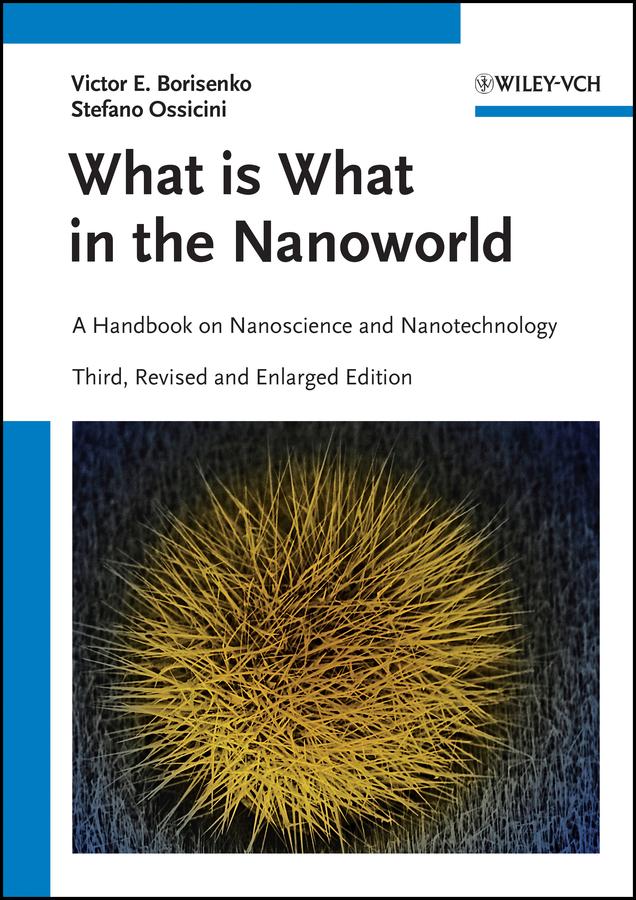 What is What in the Nanoworld by Stefano Ossicini, Victor E. Borisenko