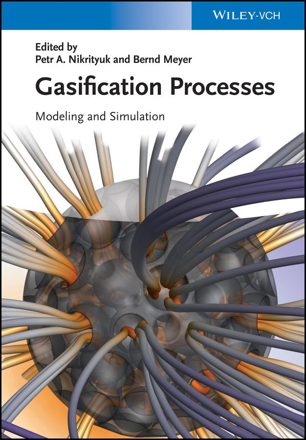Gasification Processes by Bernd Meyer, Petr A. Nikrityuk
