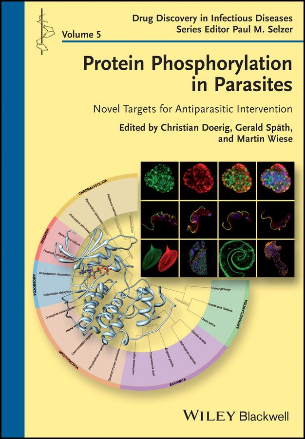 Protein Phosphorylation in Parasites by Christian Doerig, Gerald Spaeth, Martin Wiese, Paul M. Selzer