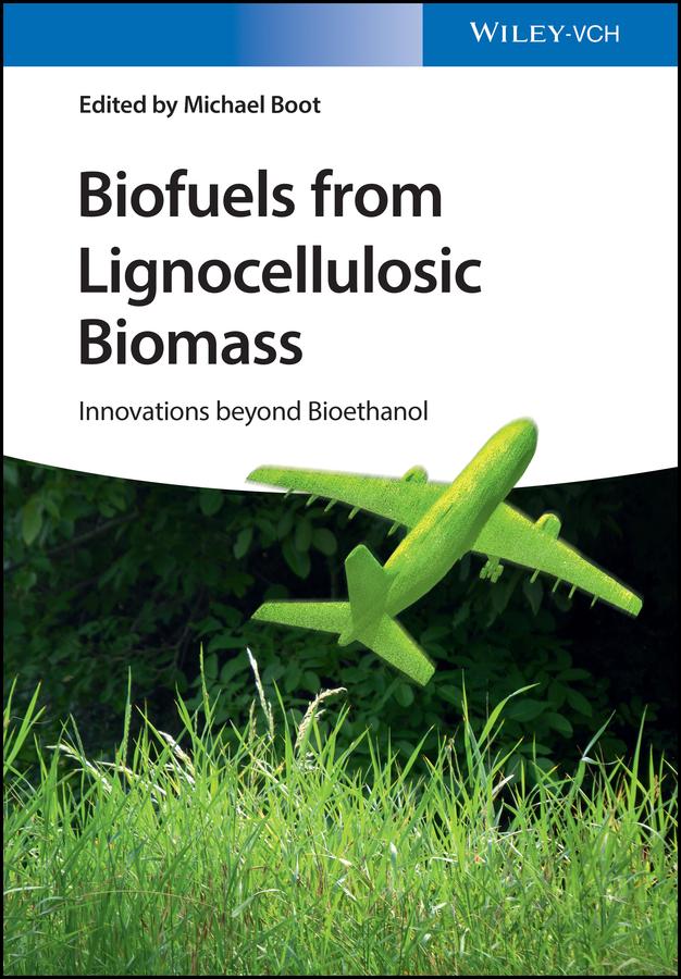 Biofuels from Lignocellulosic Biomass by Michael Boot