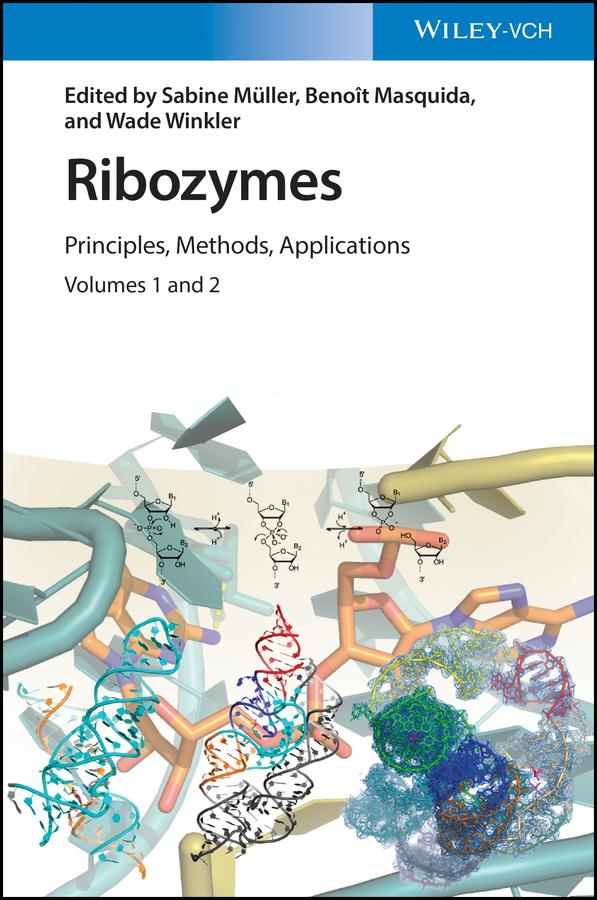 Ribozymes by Benoît Masquida, Sabine Müller, Wade Winkler