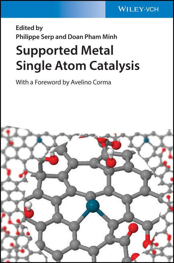 Supported Metal Single Atom Catalysis by Doan Pham Minh, Philippe Serp