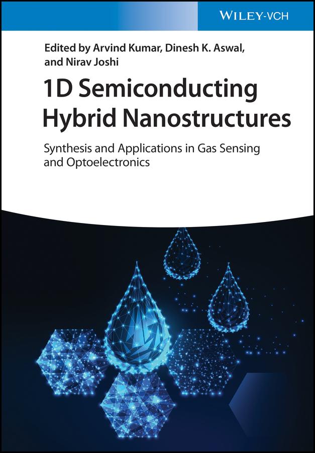1D Semiconducting Hybrid Nanostructures by Arvind Kumar, Dinesh K. Aswal, Nirav Joshi
