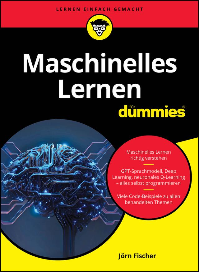 Maschinelles Lernen für Dummies by Jörn Fischer