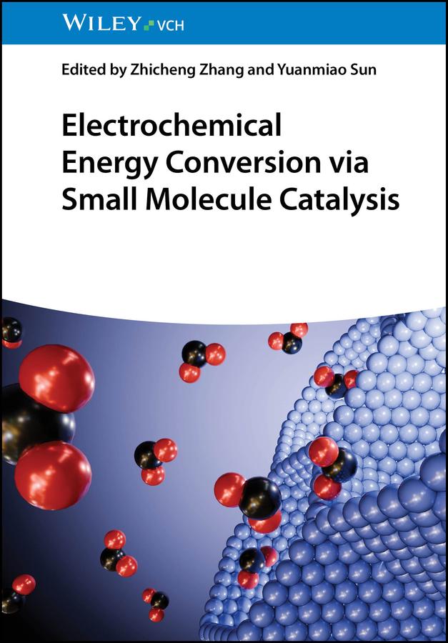 Electrochemical Energy Conversion via Small Molecule Catalysis by Yuanmiao Sun, Zhicheng Zhang