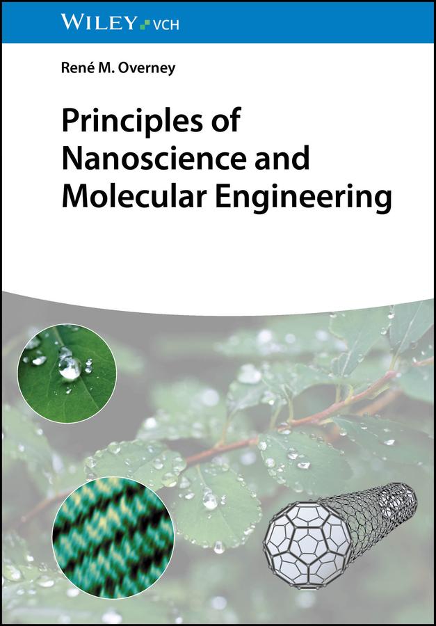 Principles of Nanoscience and Molecular Engineering by René M. Overney