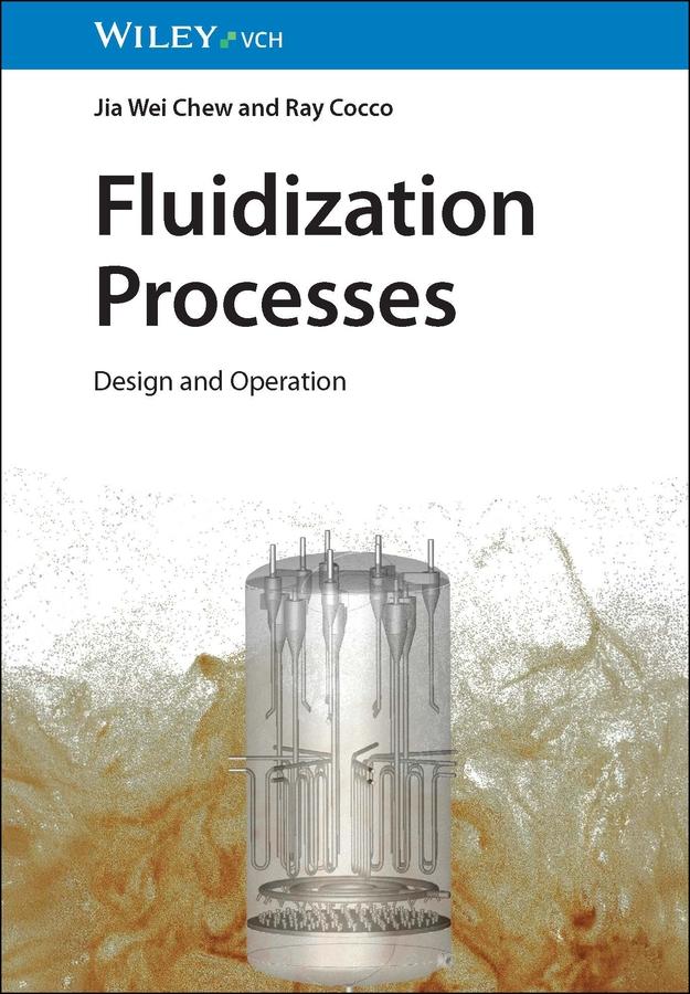 Fluidization Processes by Jia Wei Chew, Ray Cocco