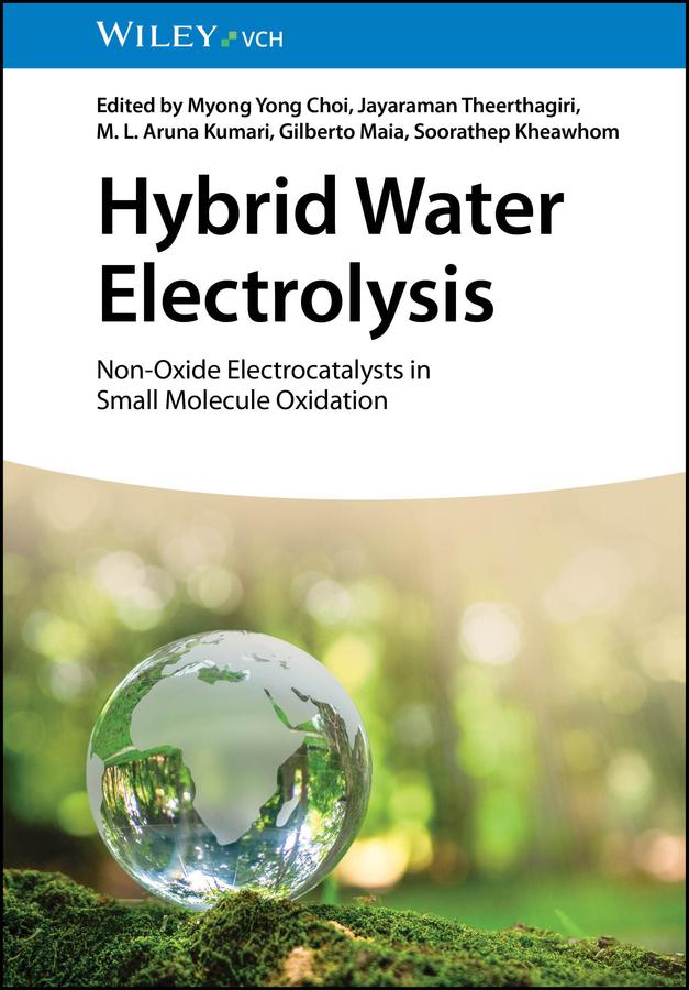 Hybrid Water Electrolysis by Gilberto Maia, Jayaraman Theerthagiri, M. L. Aruna Kumari, Myong Yong Choi, Soorathep Kheawhom
